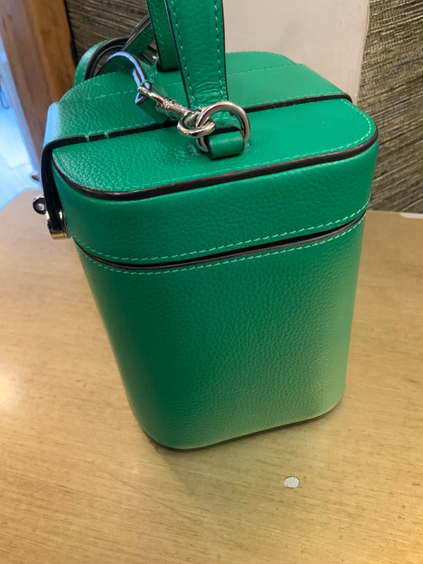 Mulberry lawn green vanity handbag