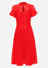 Phase eight orange lace dress size 10
