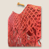 Coast coral lace dress Size 12