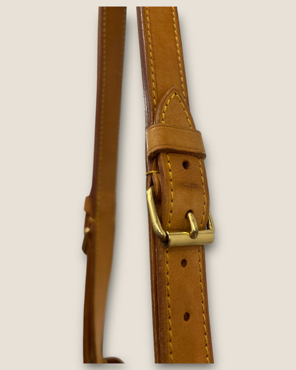 Louis Vuitton Noa bucket bag
